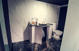 Hala moderna 250 mp utili si 1300 mp teren, zona Peugeot!