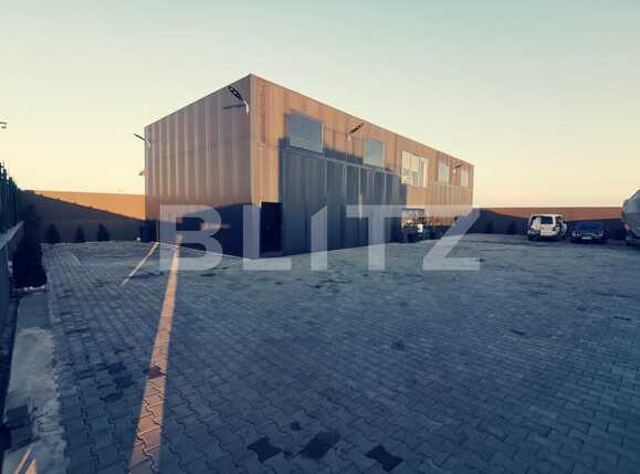 Spațiu industrial de vânzare Aeroport - 77499SVI | BLITZ Craiova | Poza1