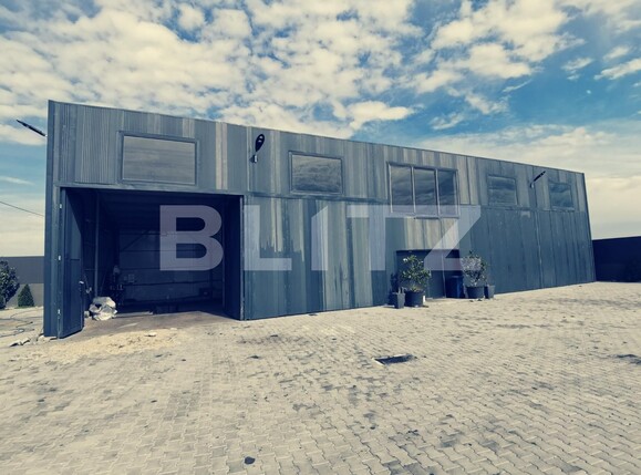 Spațiu industrial de vânzare Aeroport - 77499SVI | BLITZ Craiova | Poza2