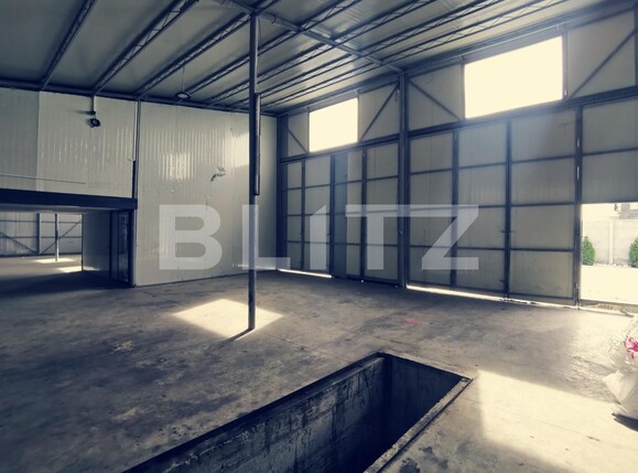 Spațiu industrial de vânzare Aeroport - 77499SVI | BLITZ Craiova | Poza7