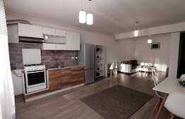 Apartament 2 camere decomandat, modern/lux, zona Calea Severinului