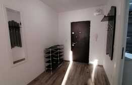Apartament 2 camere decomandat, modern/lux, zona Calea Severinului