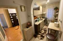 Apartament 2 camere, mobilat si utilat zona Craiovita