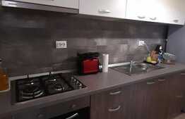 Studio spatios de 44 mp, lux, zona Electroputere Mall