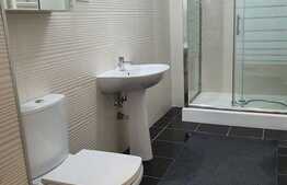 Studio spatios de 44 mp, lux, zona Electroputere Mall