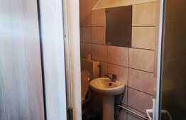 Spatiu comercial, 150 mp, vad stradal, Brestei!