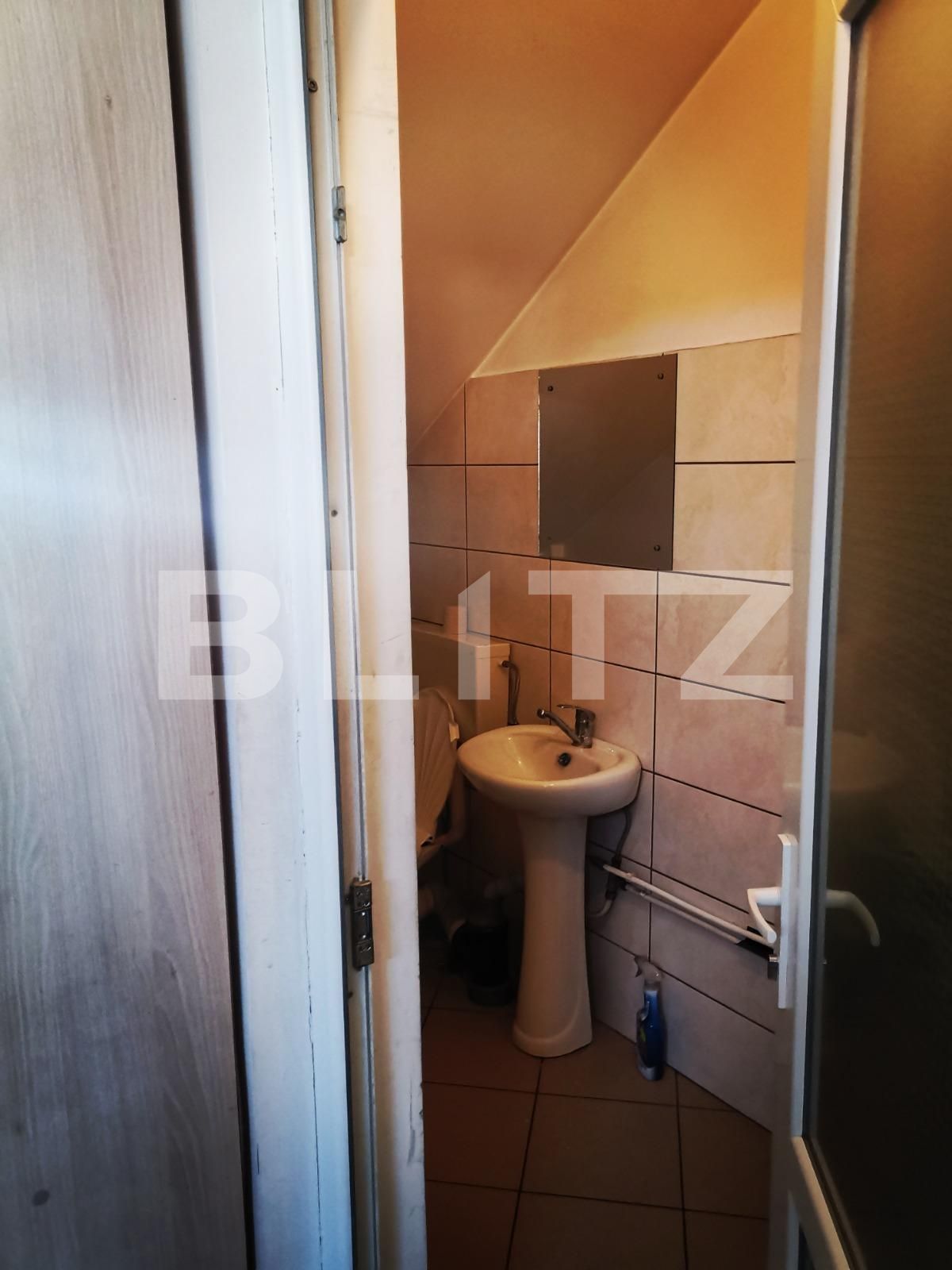 Spațiu comercial de închiriat Brestei - 77812SIC | BLITZ Craiova | Poza5