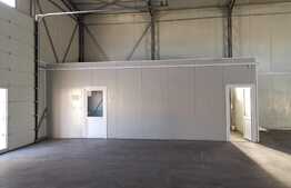 Hala de 532 mp in zona Selgros!