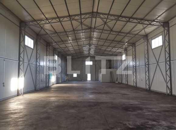 Spațiu industrial de închiriat Malu Mare - 77874SII | BLITZ Craiova | Poza1