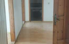 Apartament 4 camere, parter, zona 1 Mai! Investitie!