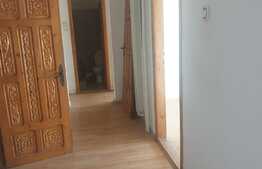Apartament 4 camere, parter, zona 1 Mai! Investitie!