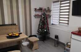 Apartament modern de 2 camere, zona Niela