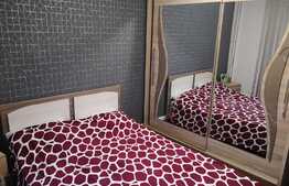 Apartament modern de 2 camere, zona Niela