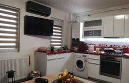 Apartament modern de 2 camere, zona Niela