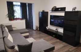 Apartament modern de 2 camere, zona Niela