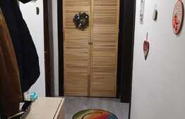 Apartament modern de 2 camere, zona Niela