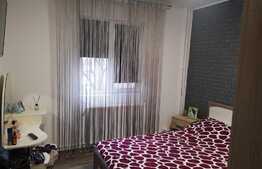 Apartament modern de 2 camere, zona Niela