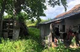 Casă bătrânească 146 mp utili și teren 4.700 mp, Cârcea