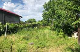 Casă bătrânească 146 mp utili și teren 4.700 mp, Cârcea