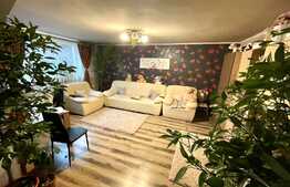 Casa de 233 mp utili, 291 mp teren, zona Brestei!