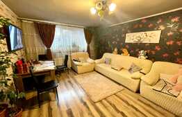 Casa de 233 mp utili, 291 mp teren, zona Brestei!