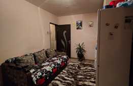 Apartament 2 camere, semidecomandat, Valea Rosie