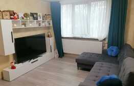 Apartament 2 camere, etaj intermediar, zona Calea Bucuresti-Institut