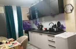 Apartament 2 camere, etaj intermediar, zona Calea Bucuresti-Institut