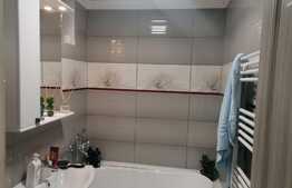 Apartament 2 camere, etaj intermediar, zona Calea Bucuresti-Institut