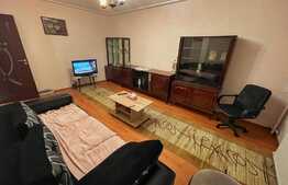 Apartament 2 camere, decomandat, centrala proprie, Rovine