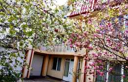 Casa central, 326 mp, perfecta pentru policlinica sau locuinta personala!