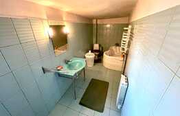 Casa central, 326 mp, perfecta pentru policlinica sau locuinta personala!