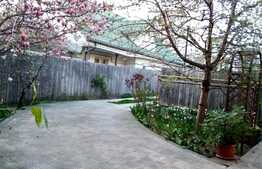 Casa central, 326 mp, perfecta pentru policlinica sau locuinta personala!