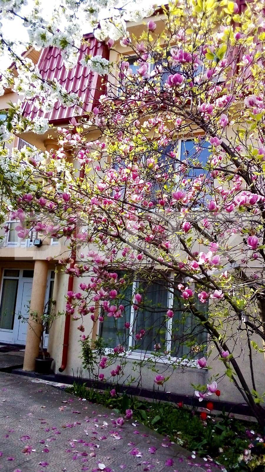 Casa de vânzare 7 camere Central - 78580CV | BLITZ Craiova | Poza13