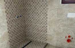 Casa la cheie P+M, 127 mp utili si 515 mp teren- Carcea!