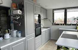 Apartament 3 camere, 120 mp, lux, terasa si piscina, zona 1 Mai 