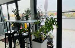 Apartament 3 camere, 120 mp, lux, terasa si piscina, zona 1 Mai 