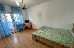 Garsoniera 30 mp, recent renovat, pet friendly, 1 Mai