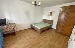 Garsoniera 30 mp, recent renovat, pet friendly, 1 Mai