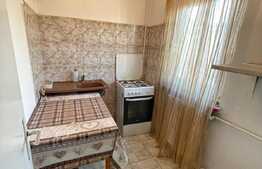 Garsoniera 30 mp, recent renovat, pet friendly, 1 Mai