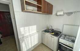 Garsoniera 30 mp, pet friendly, Brazda lui Novac