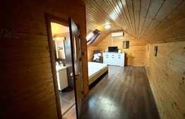 Ocazie! Casa, cabana si teren de 930 mp, zona Metro!