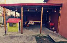 Casa de 117 mp, mobilata, toate utilitatile, Robanesti!