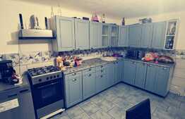 Casa de 117 mp, mobilata, toate utilitatile, Robanesti!