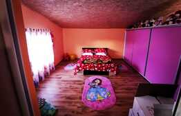 Casa de 117 mp, mobilata, toate utilitatile, Robanesti!