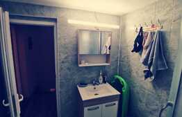 Casa de 117 mp, mobilata, toate utilitatile, Robanesti!