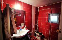 Casa de 117 mp, mobilata, toate utilitatile, Robanesti!