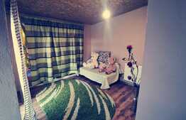 Casa de 117 mp, mobilata, toate utilitatile, Robanesti!