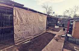 Casa de 117 mp, mobilata, toate utilitatile, Robanesti!