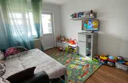 Apartament de 3 camere, decomandat, 45 mp utili, Valea Rosie